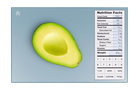 Greater Goods Nourish Digital Kitchen Scale
