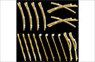 Rhinestone Bobby Pins Set