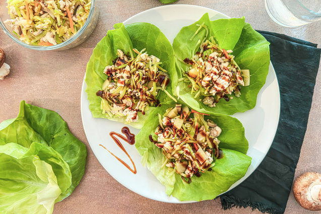 Hungry Girl Healthy Moo Shu Lettuce Cups Recipe